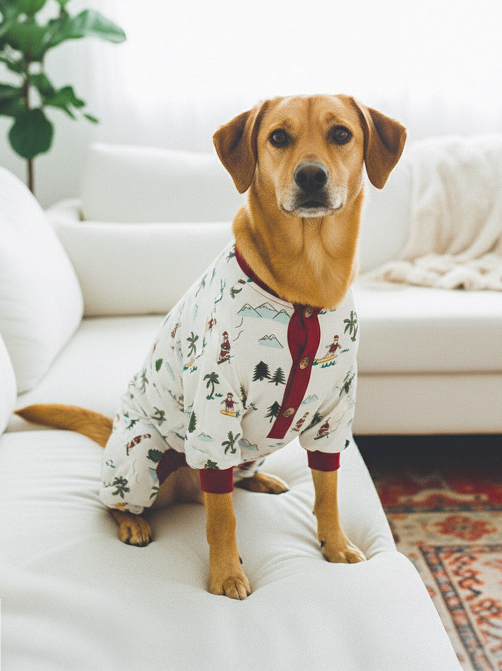 Fun Fam Surfing Santa Pajama