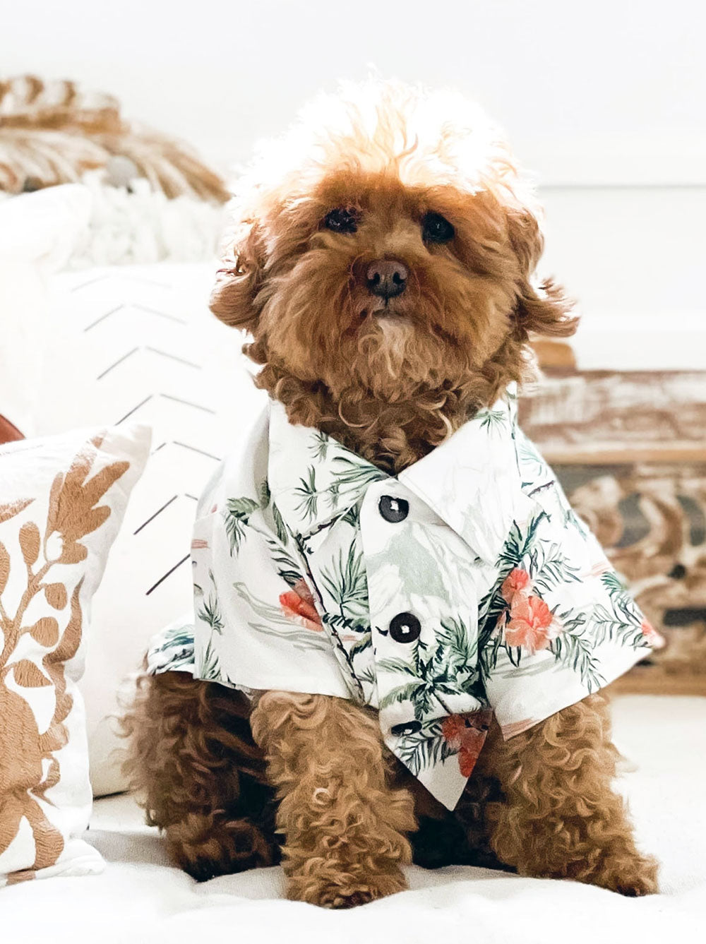 Sail Away BBQ Shirt - HT Animal Supply