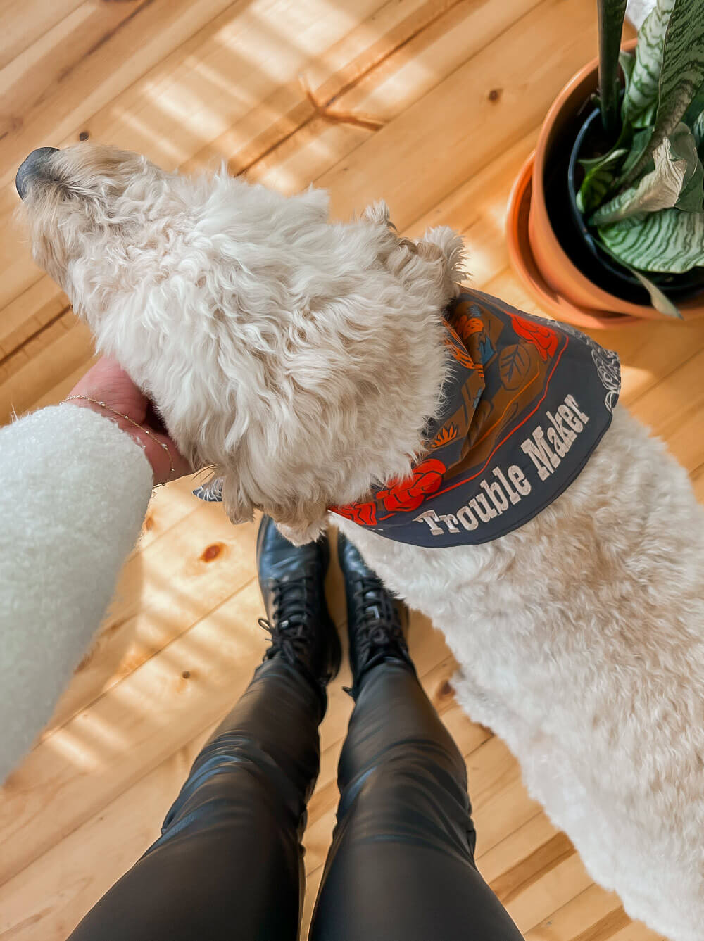 Trouble Maker Bandana