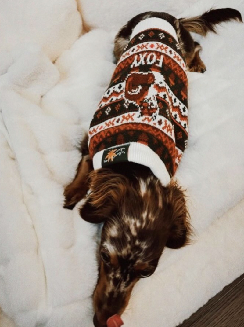 Foxy Sweater