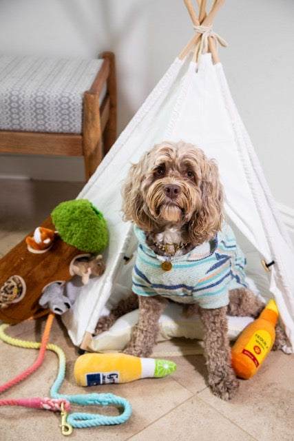Glow Pups: Rainbow Tie Dye Dog Leash