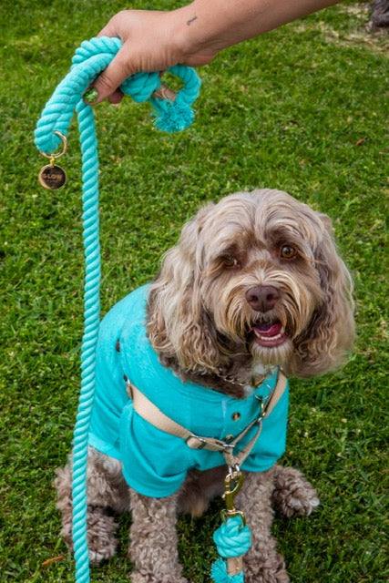 Glow Pups: Turquoise Boho Chic Cotton Rope Dog Leash