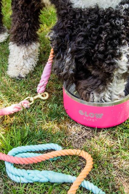 Glow Pups: Rainbow Tie Dye Dog Leash