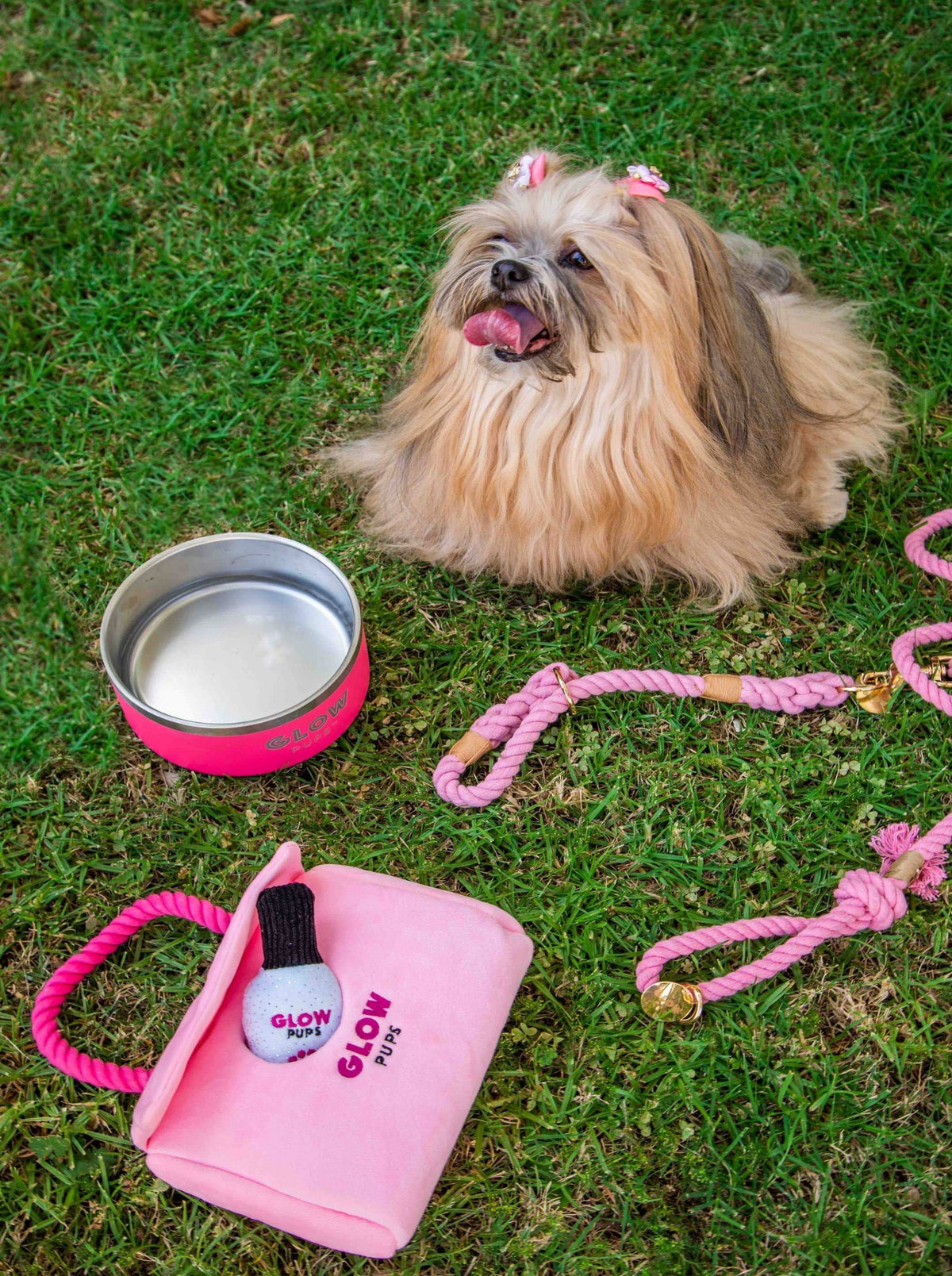Glow Pups: Pink Purse Hide and Seek Plush Dog Toy Set