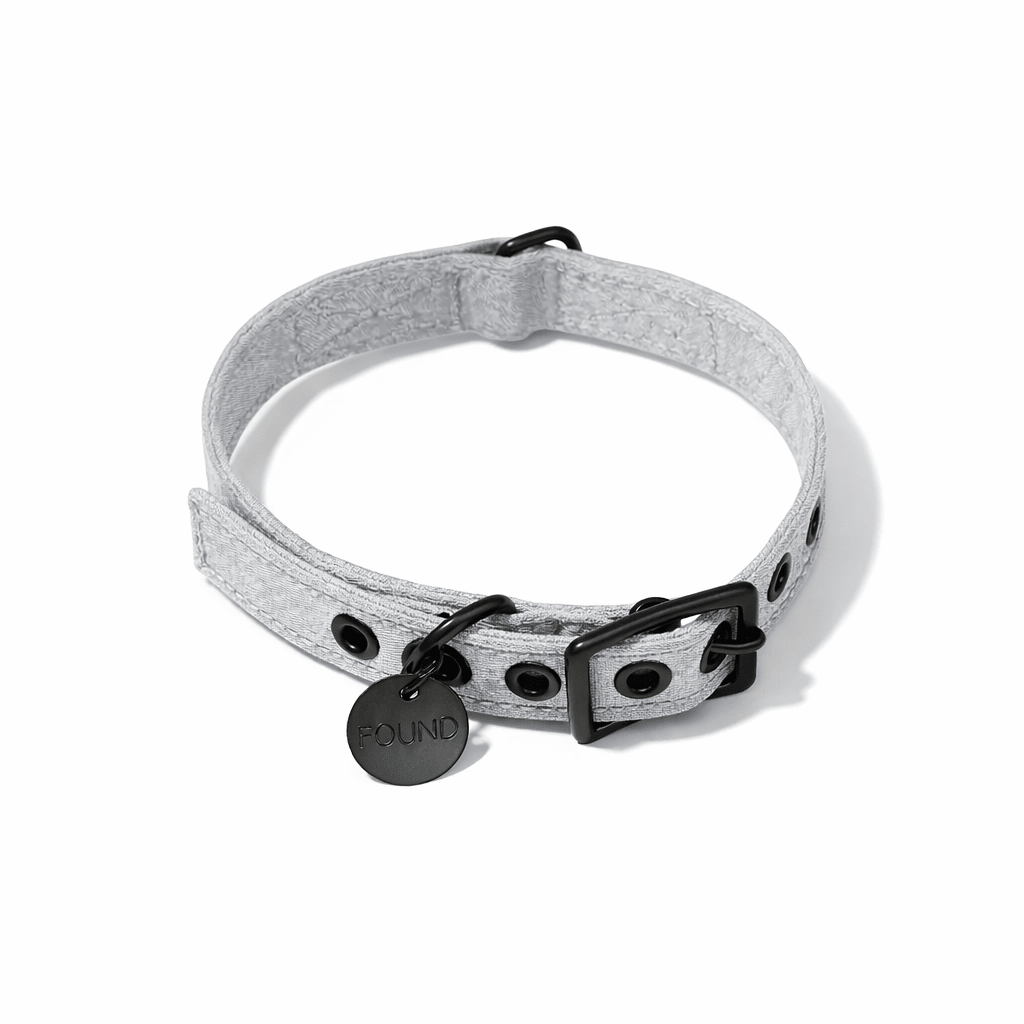 Gray Waxed Cotton Canvas Cat & Dog Collar – Matte Black Hardware