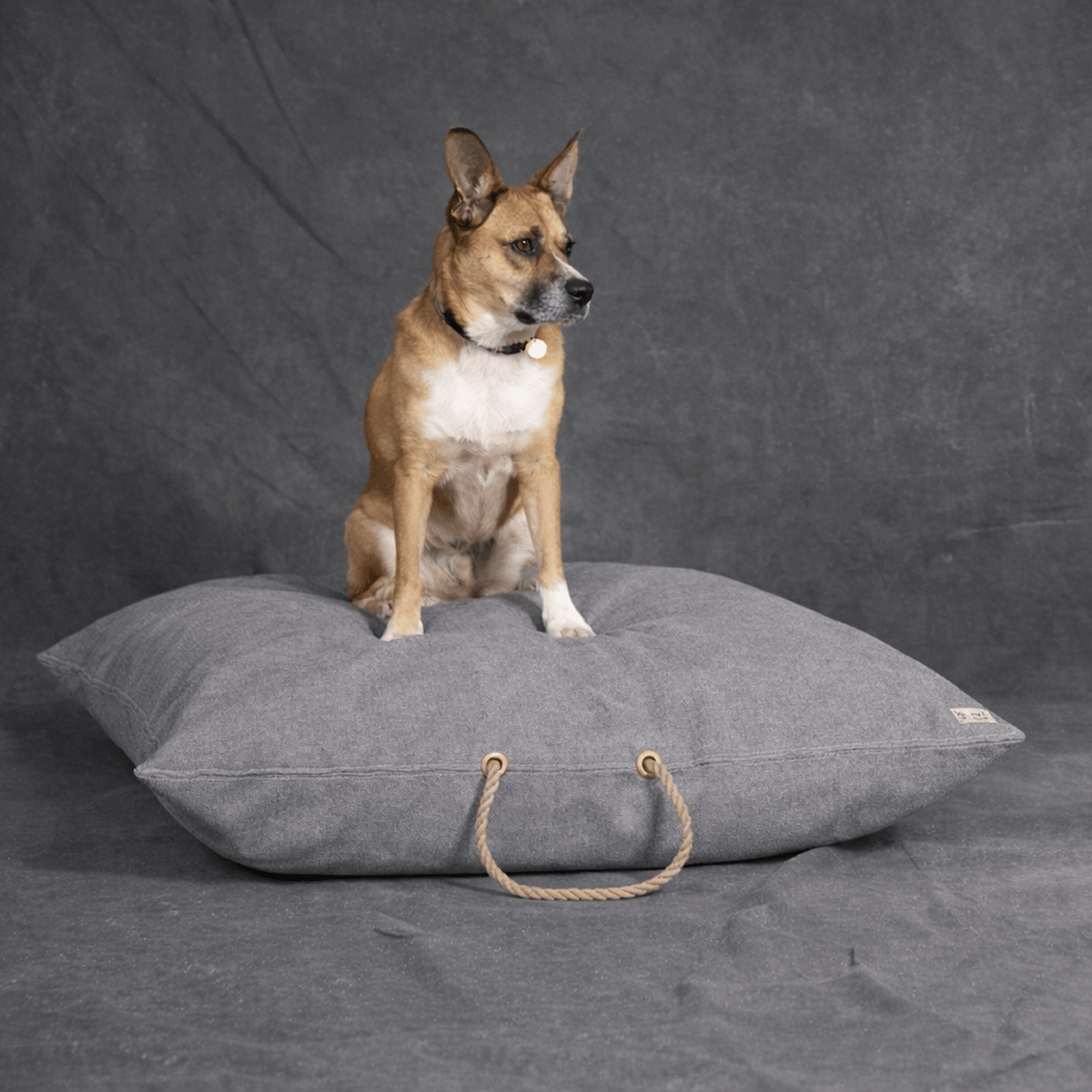 Gray Waxed Cotton Canvas Dog Bed