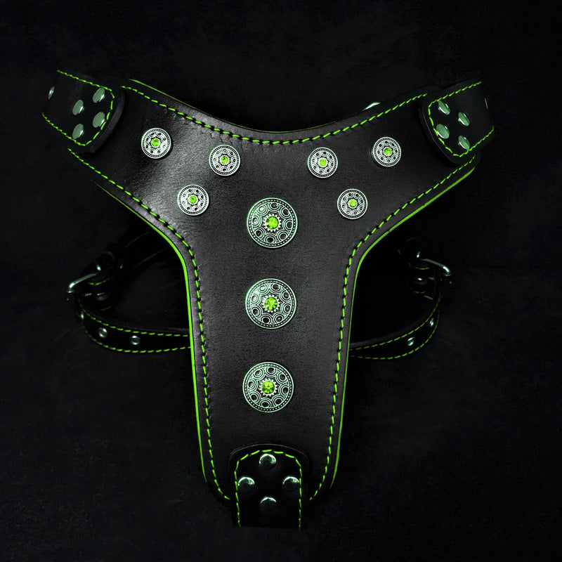 Bestia Dog Gear Genuine Leather Dog Harness - Black/M 