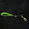 Bestia Dog Gear Genuine Leather Dog Collar - Green