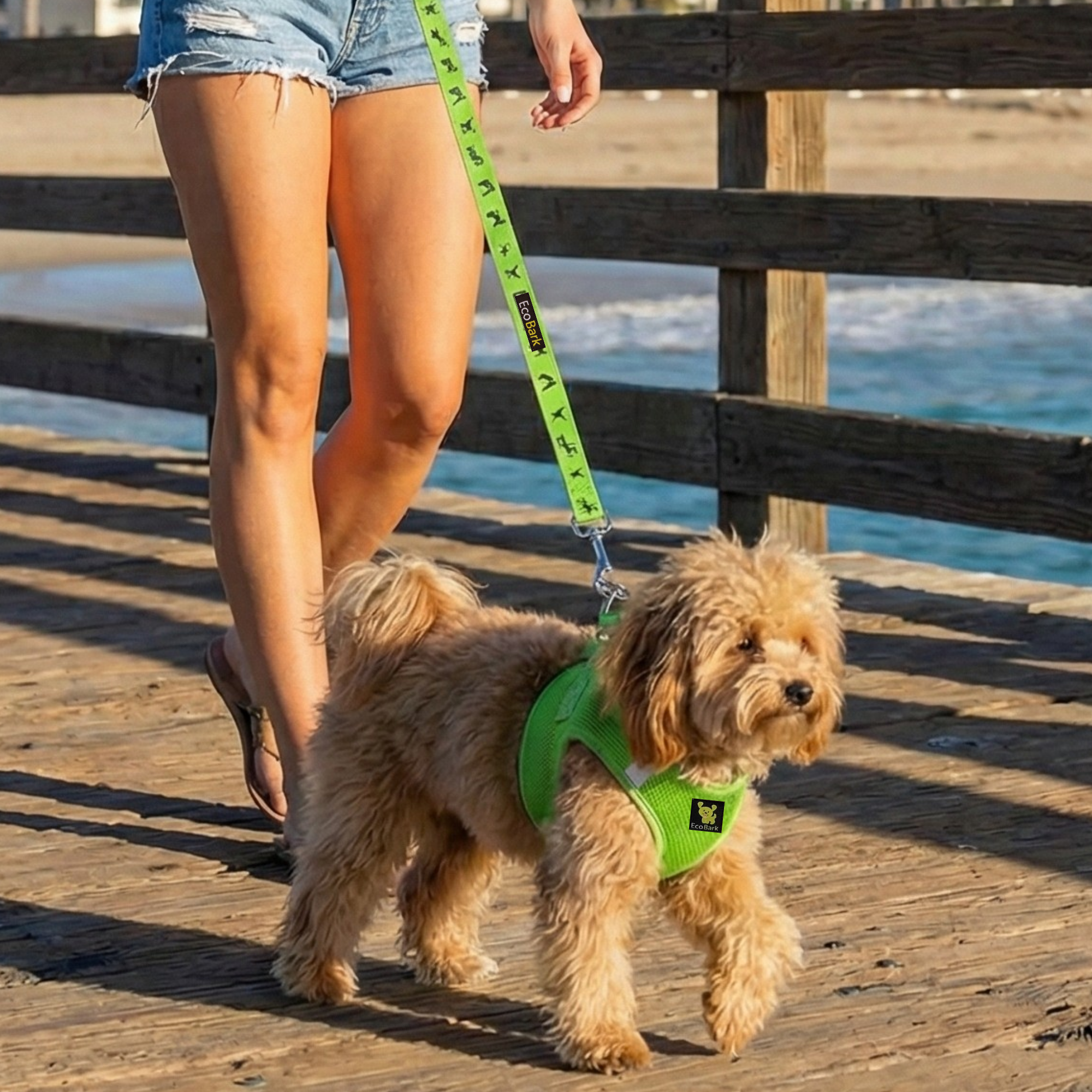 EcoBark Green Dog Leash- Padded Comfort Grip Leash - 4ft, 5ft, and 6ft Dog Leash for Small and Medium Dogs