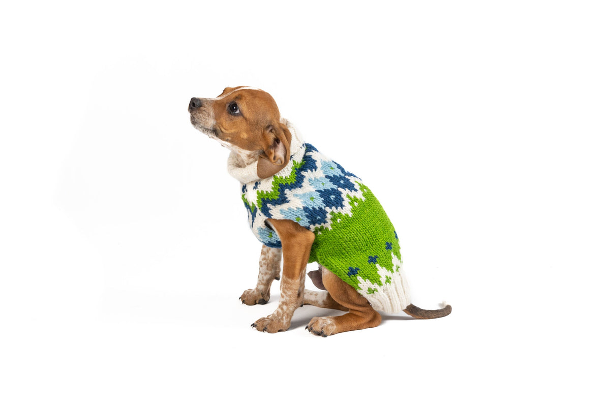 Chilly Dog Spring Ski Bum Wool Dog Sweater