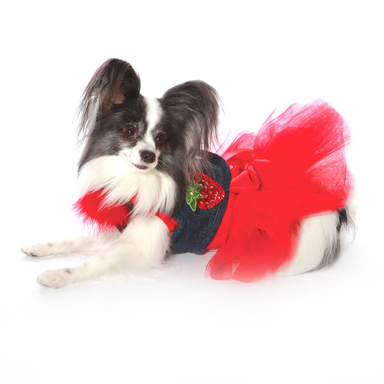 The Hollywood Boa Collars (Harness Vest Sold Separately)