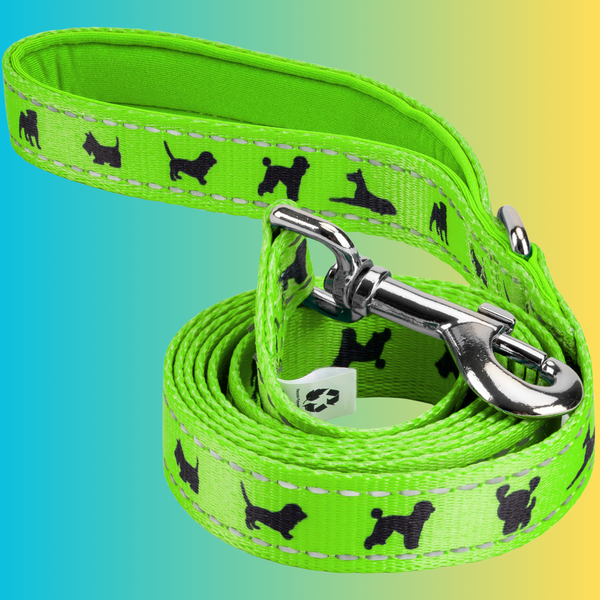 EcoBark Green Dog Leash- Padded Comfort Grip Leash - 4ft, 5ft, and 6ft Dog Leash for Small and Medium Dogs