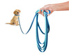 Up Country Color Market Training Cast Brass Pet Accessory