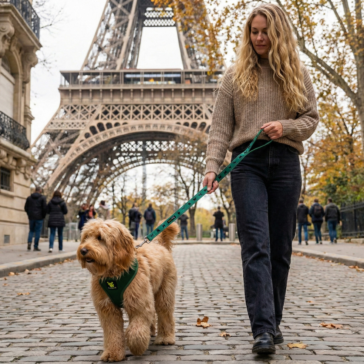 EcoBark – Forest Green Max Comfort Dog Harness