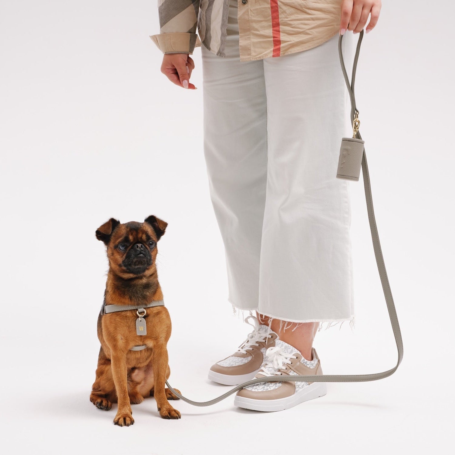 Dog Leash