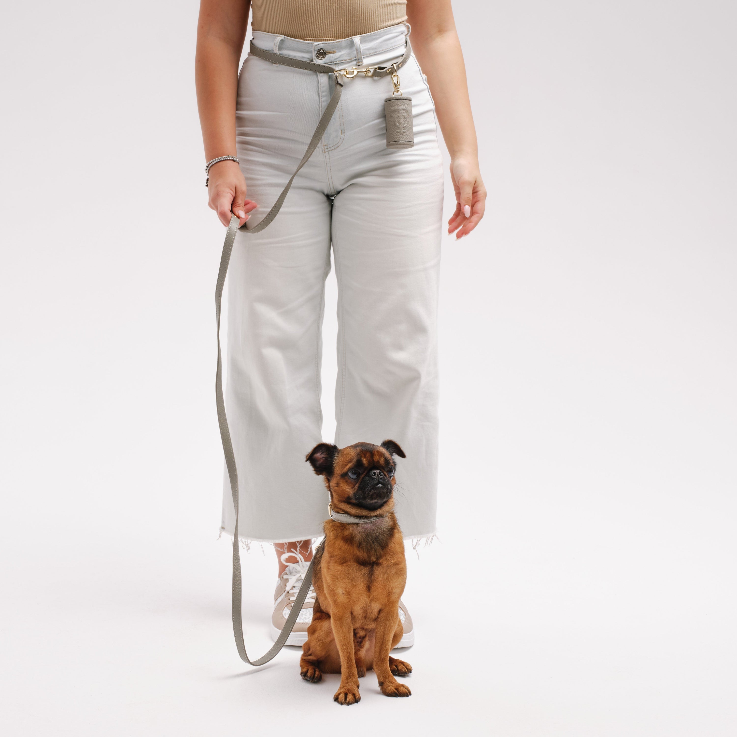Adjustable 3-in-1 Dog Leash