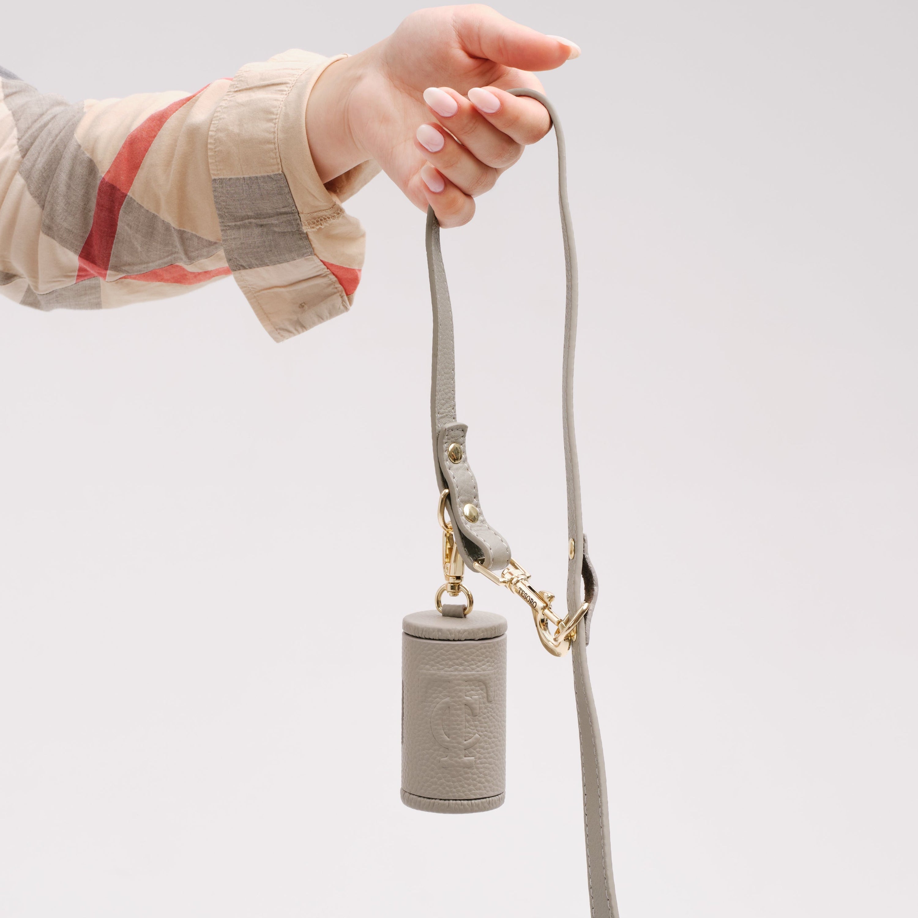 Dog Leash