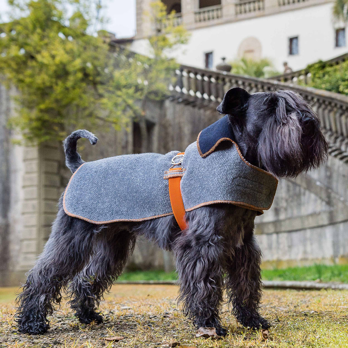 Gray & Navy-Orange