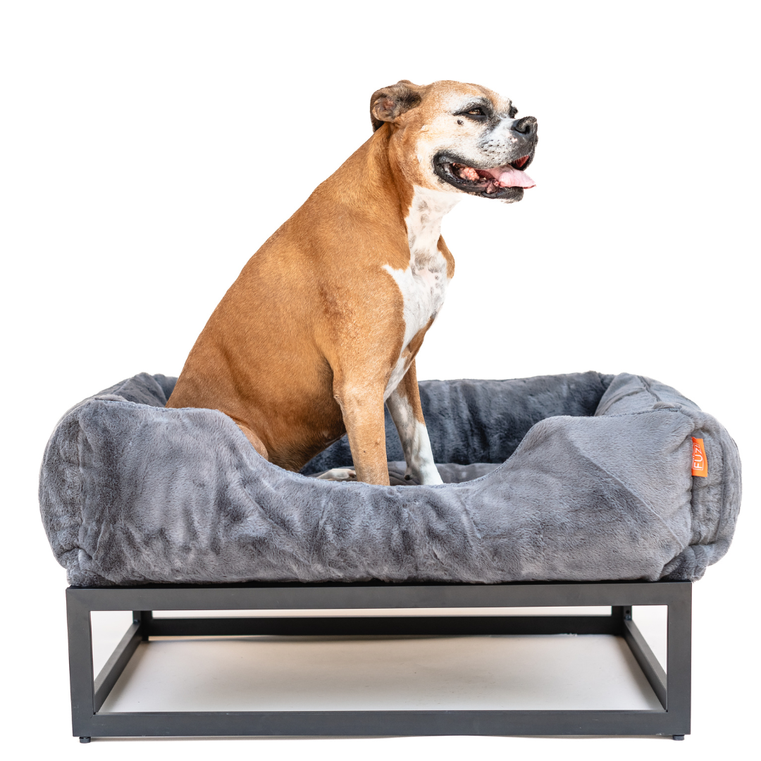 The FUZI Elevated Dog Bed