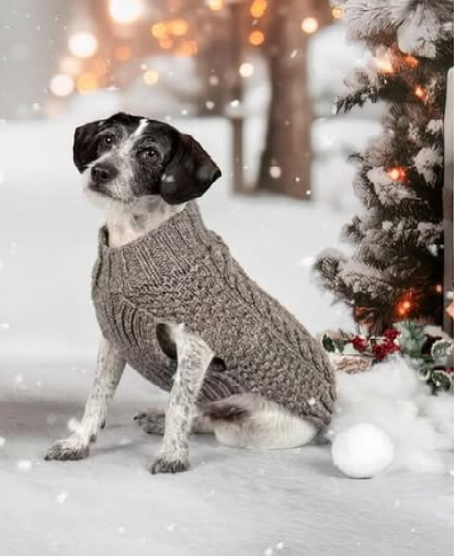 Chilly Dog Gray Cable Knit Wool Dog Sweater | HT Animal Supply