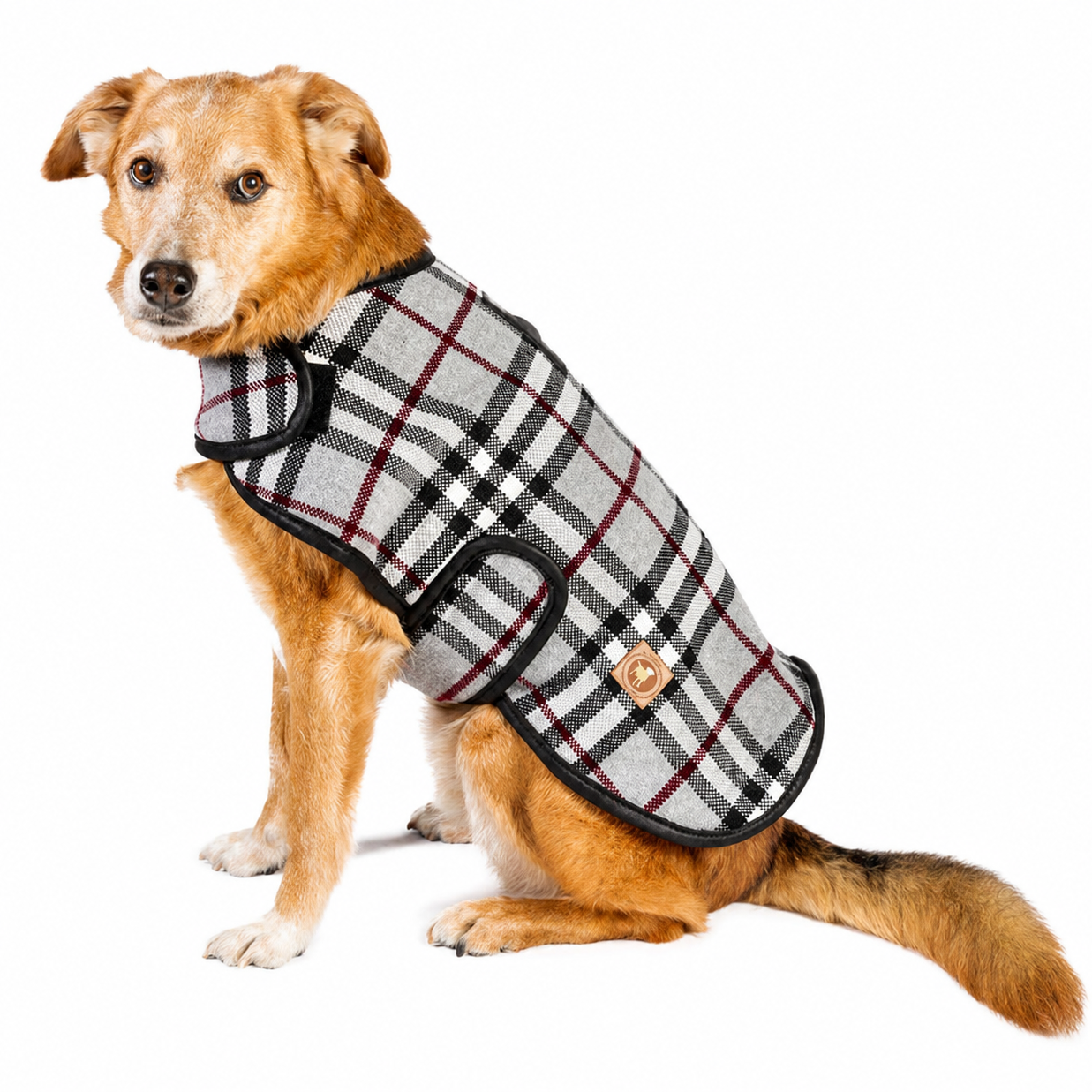 Chilly Dog Steel Tartan Plaid Fleece-Lined Wool Dog Blanket Coat