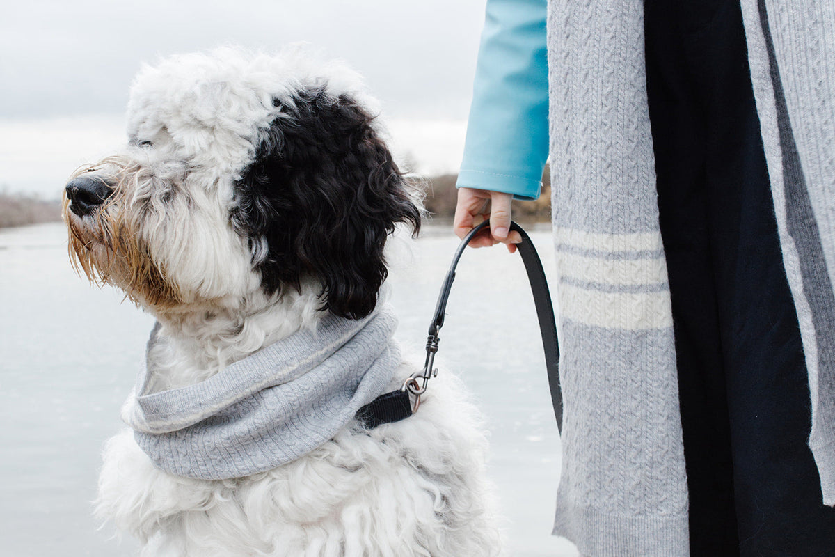 BESPOKE PAWS Cashmere Blend Scarf sets for Pets and their humans, Heather Grey - Wool Warm Winter Comfort BANDANA