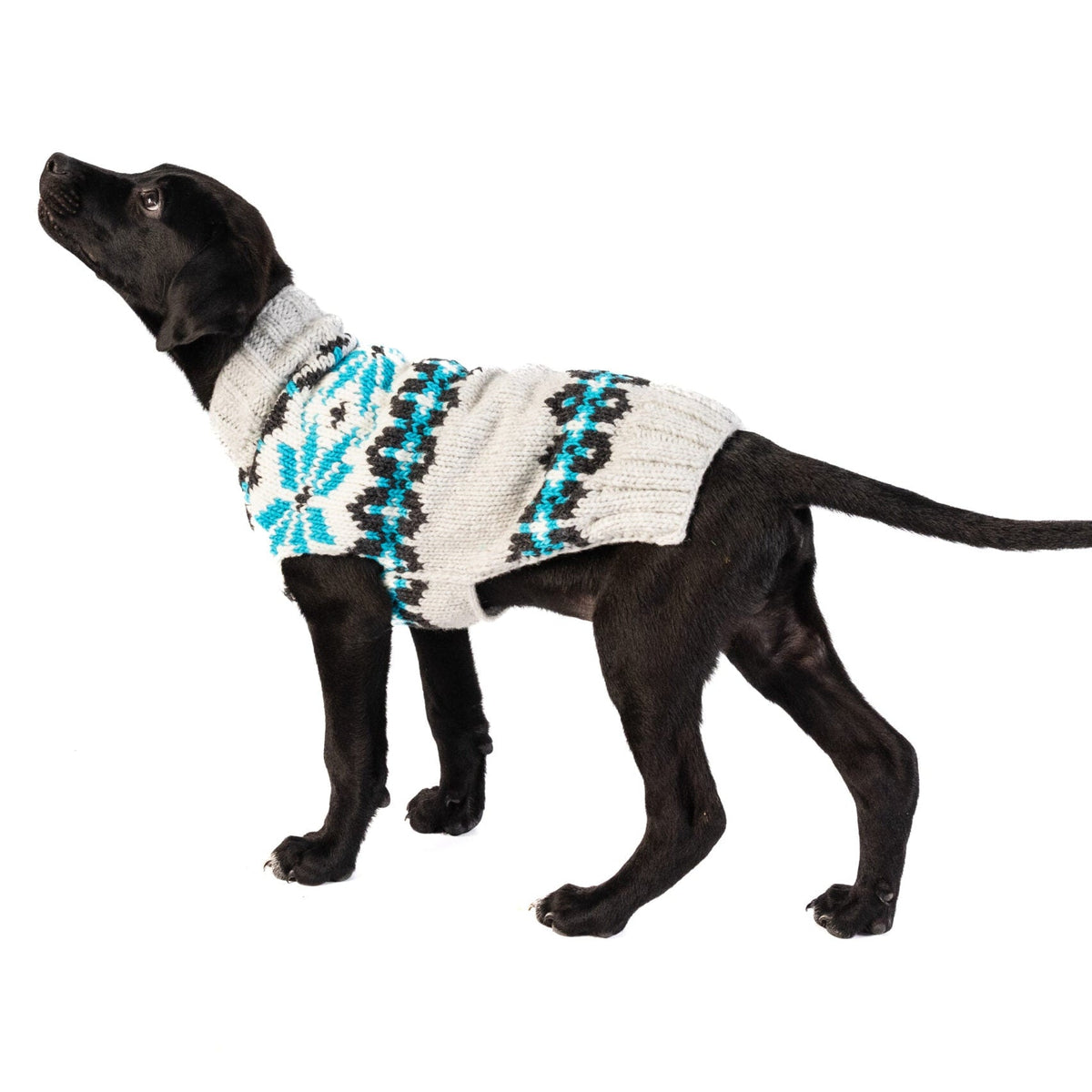 Chilly Dog Frost Wool Dog Sweater