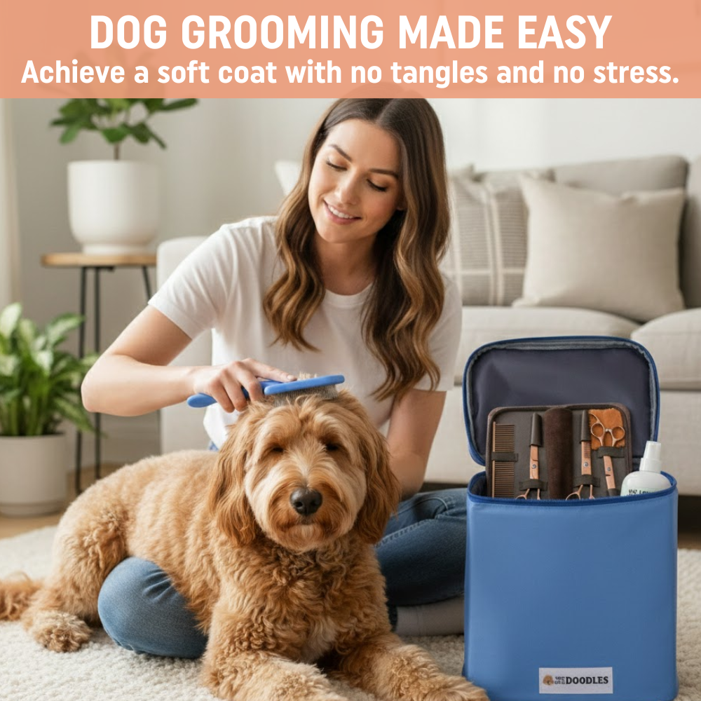 At Home Grooming Pack - Brush, Scissors and Detangler