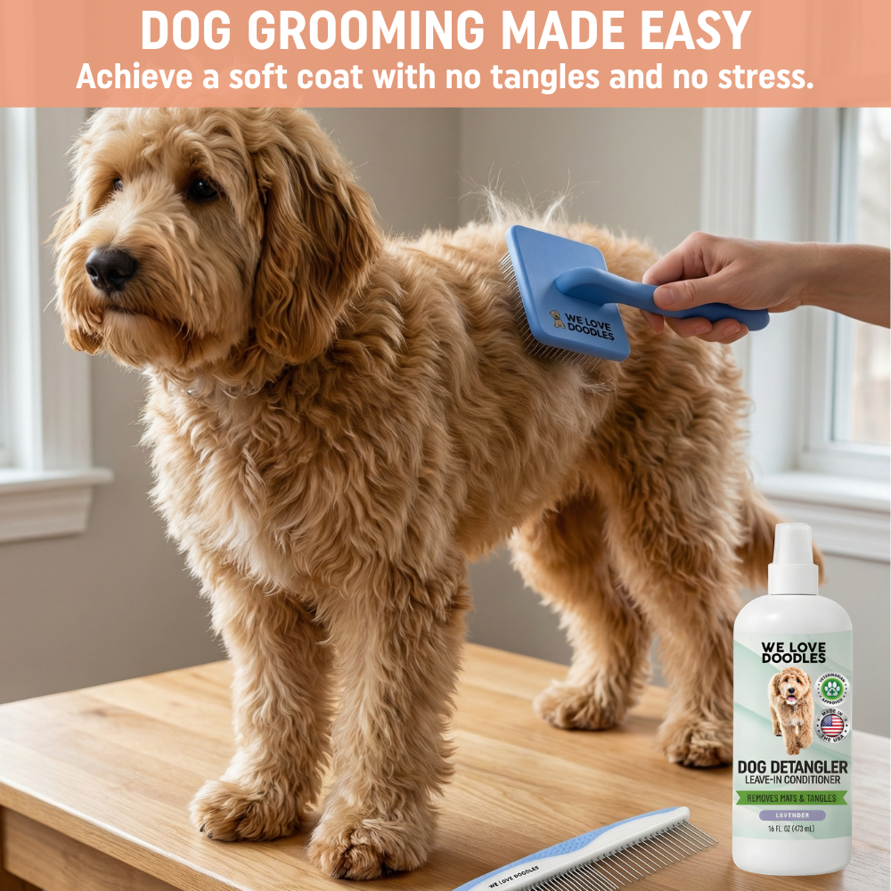 Lavender Grooming Starter Pack (Brush, Combs & Detangler)
