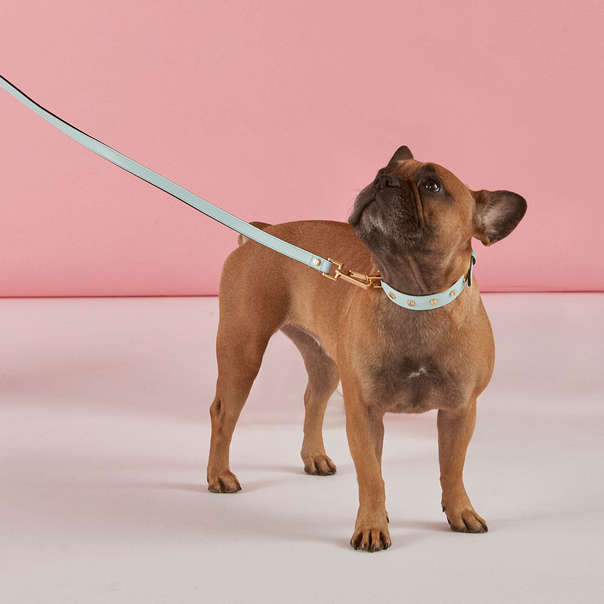 Leather Dog Leash in Cloud - Classic, Made in Italy