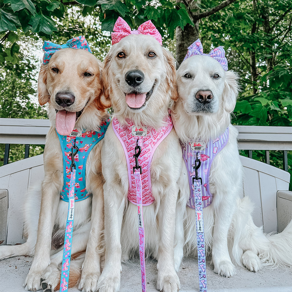 Dog Adjustable Harness - BARBIE™ On a Roll