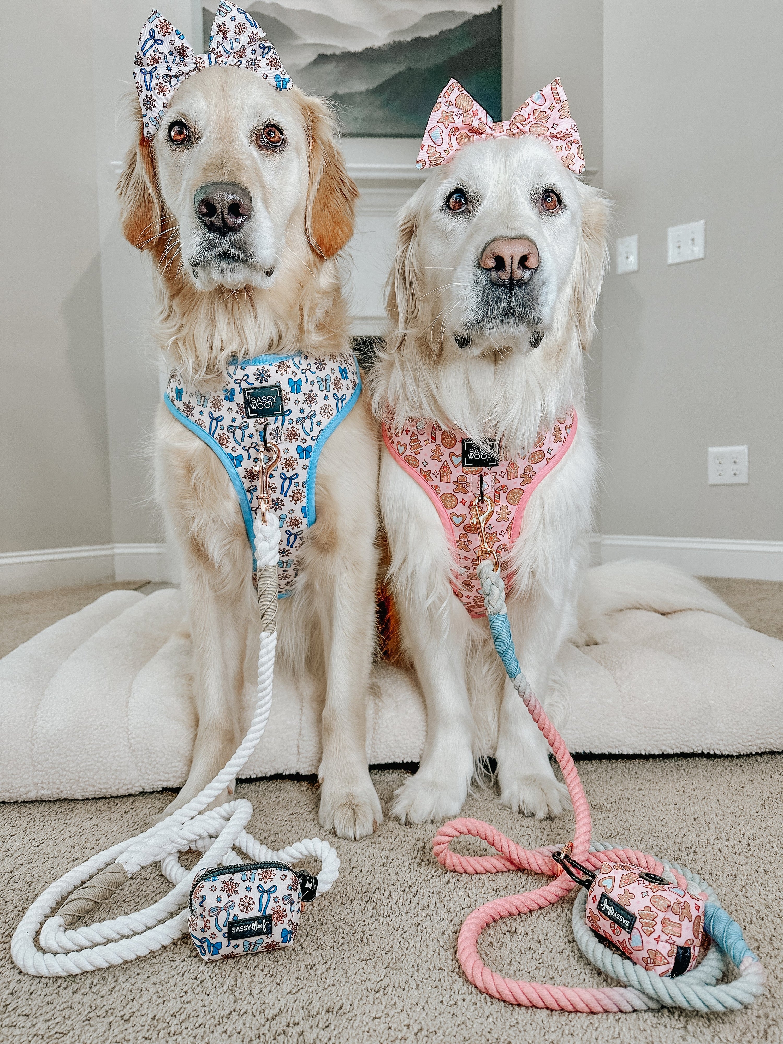 Dog Adjustable Harness - Dough My Goodness