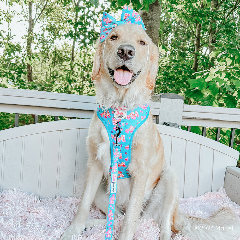 Dog Adjustable Harness - BARBIE™ On a Roll