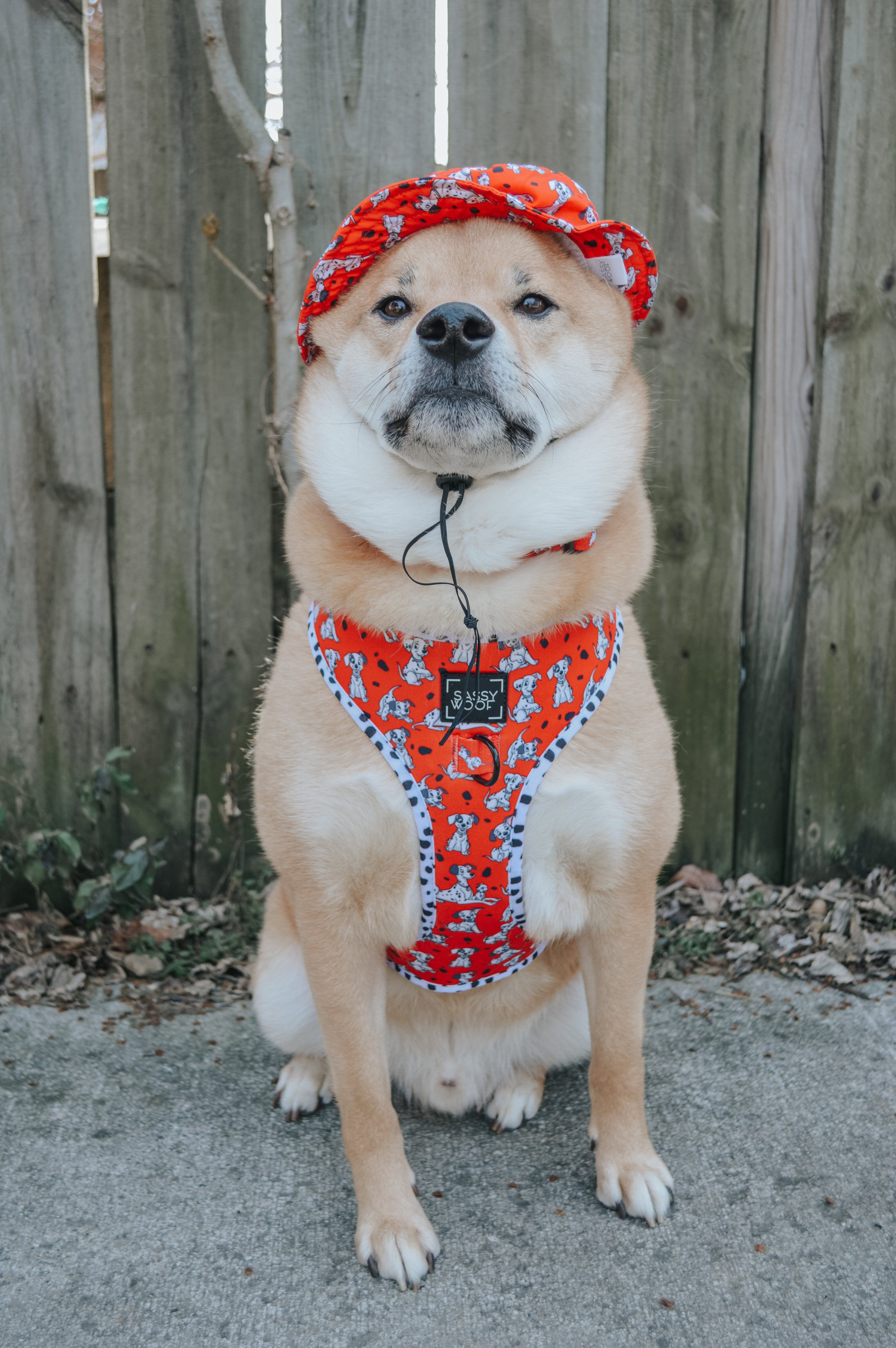 Dog Bucket Hat - Disneys 101 Dalmatians