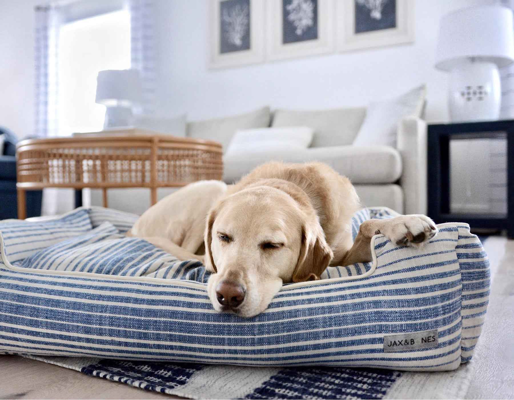 Hampton Navy Lounge Bed