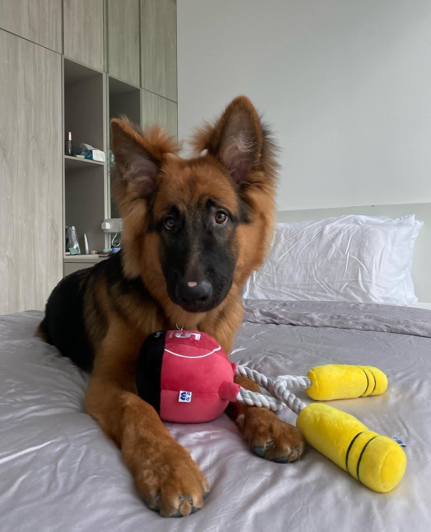 Pawty Kettlebell Rope and Plush Squeaky Dog Toy