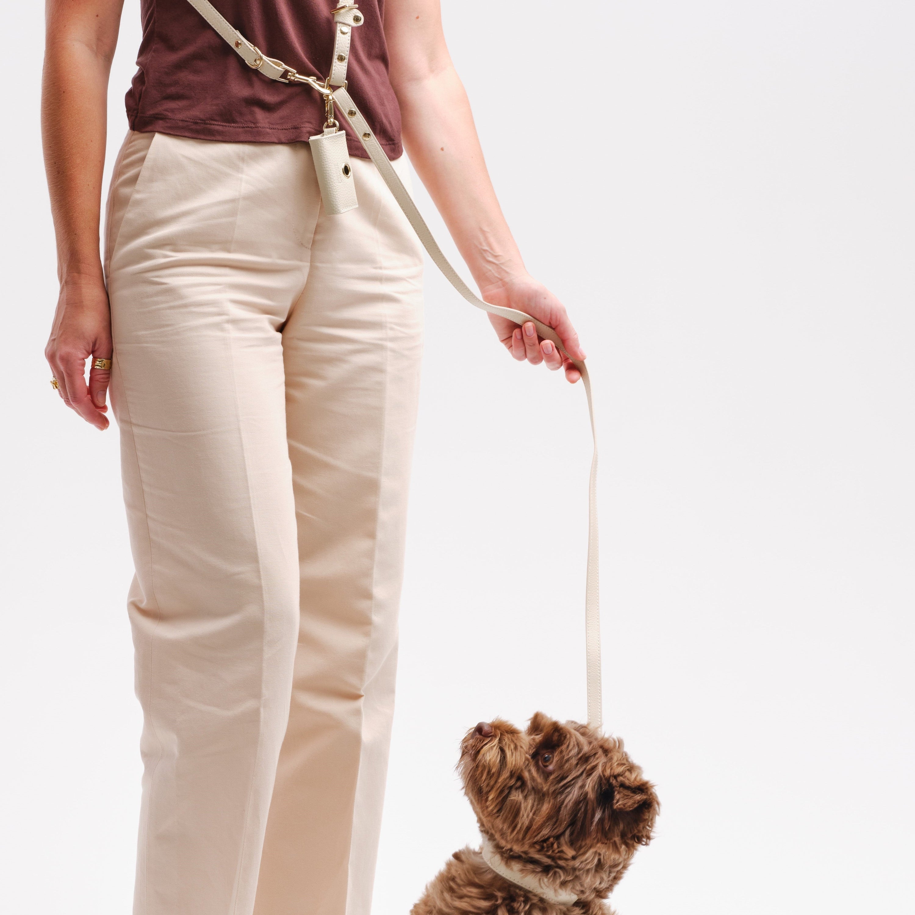 Adjustable 3-in-1 Dog Leash