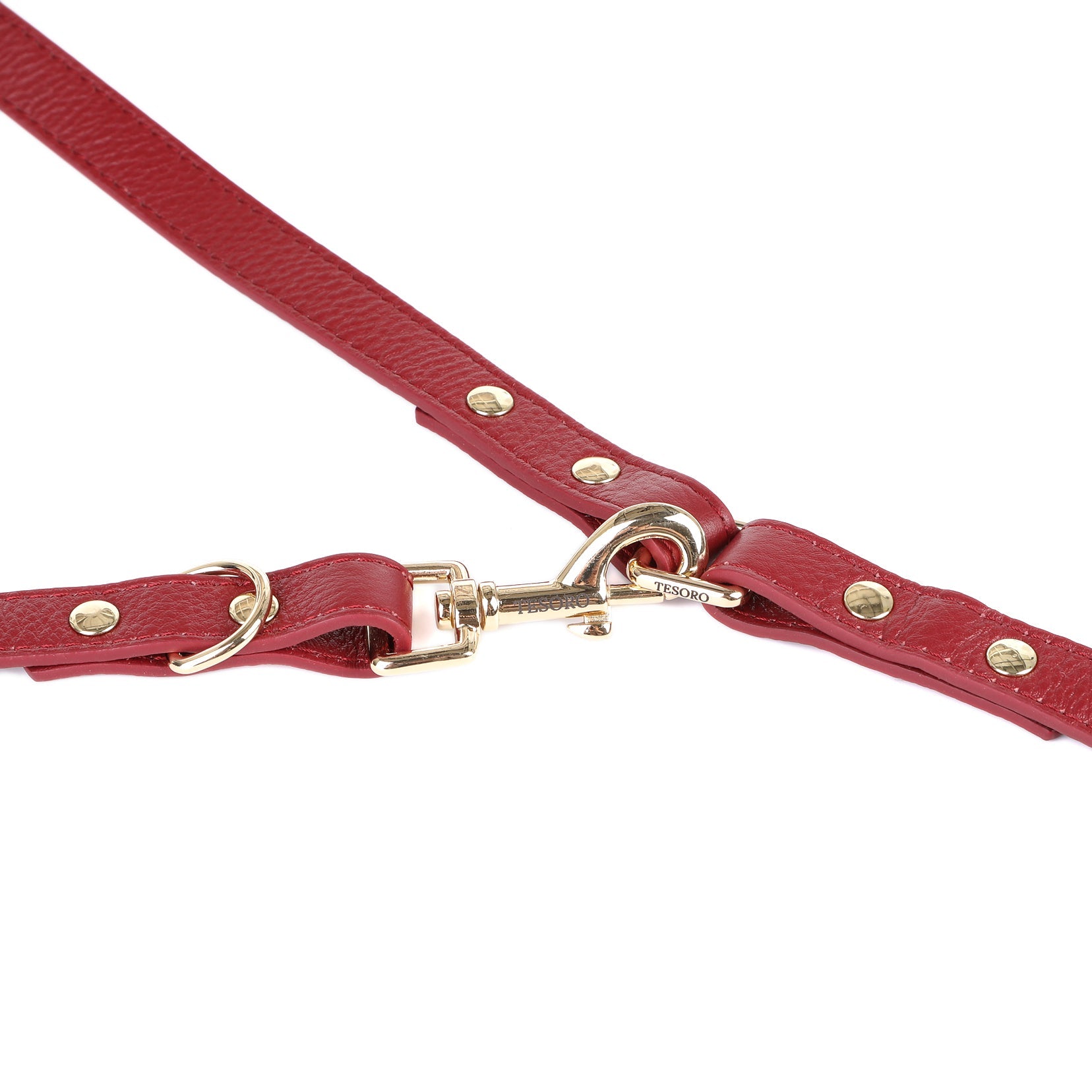 Adjustable 3-in-1 Dog Leash