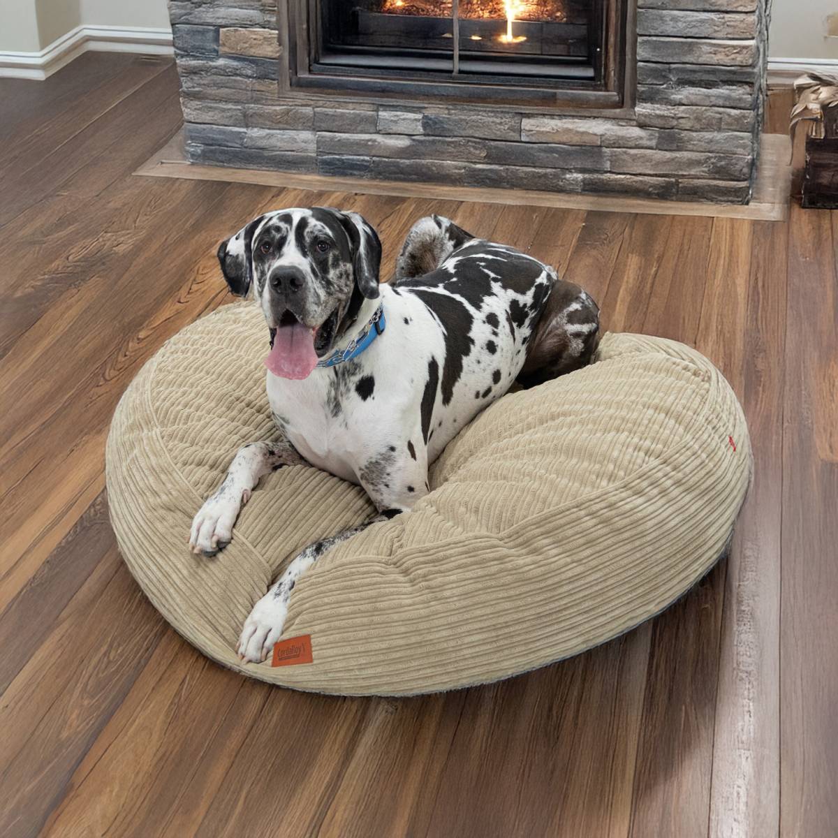 CordaRoys 50-Inch Waterproof Terry Corduroy Dog Bed