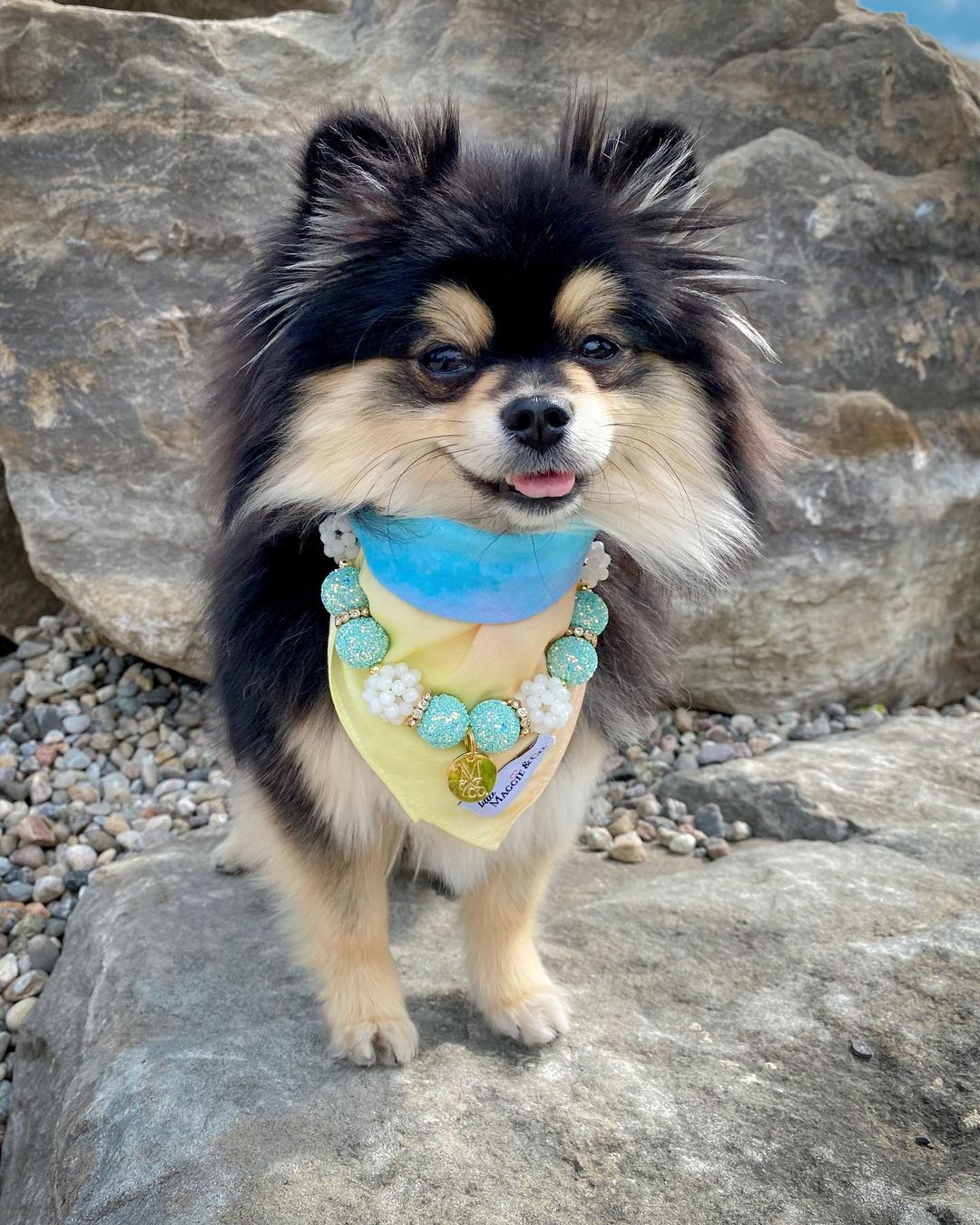 Necklace: The Audrey