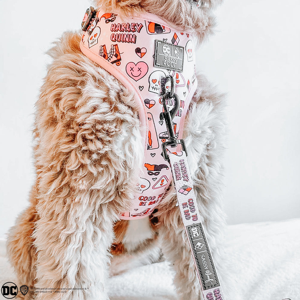 Dog Adjustable Harness - Harley Quinn™
