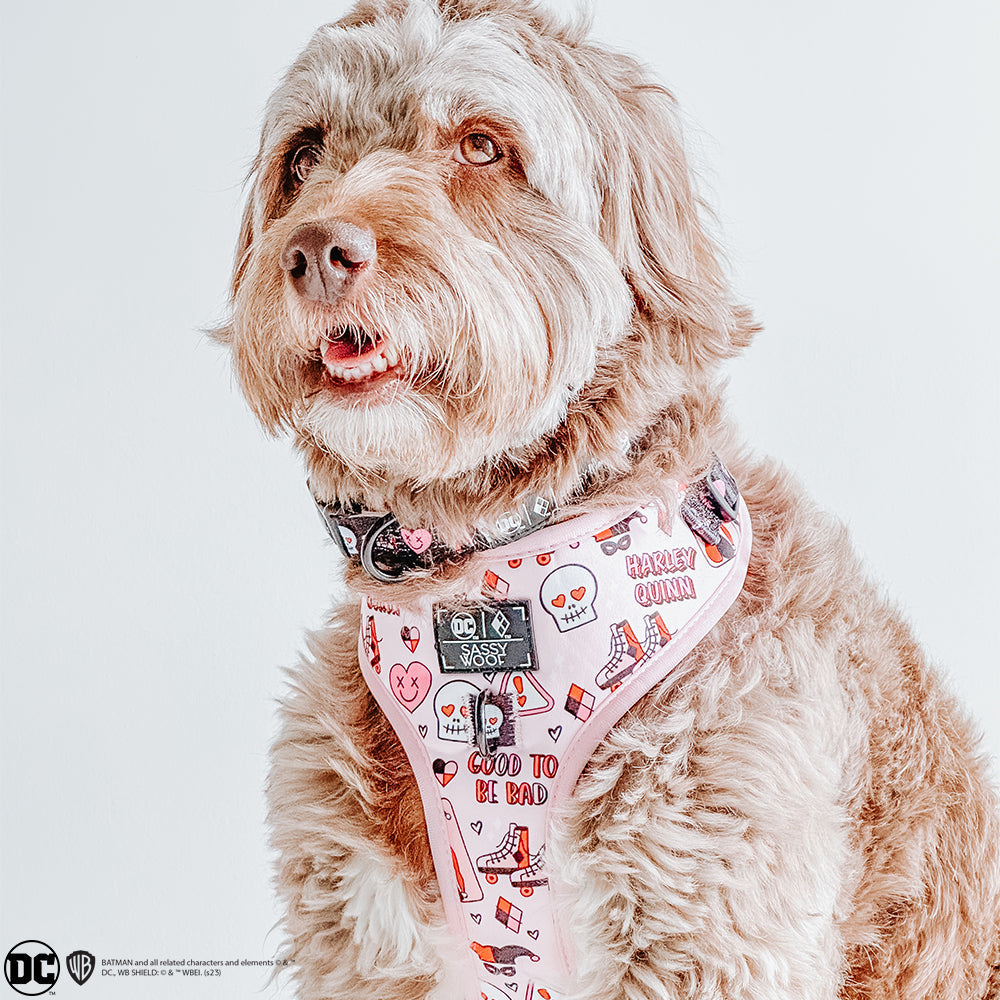 Dog Adjustable Harness - Harley Quinn™