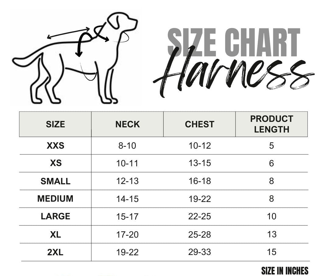 Heads or Tails Pup Luxury Floral Dog Harness