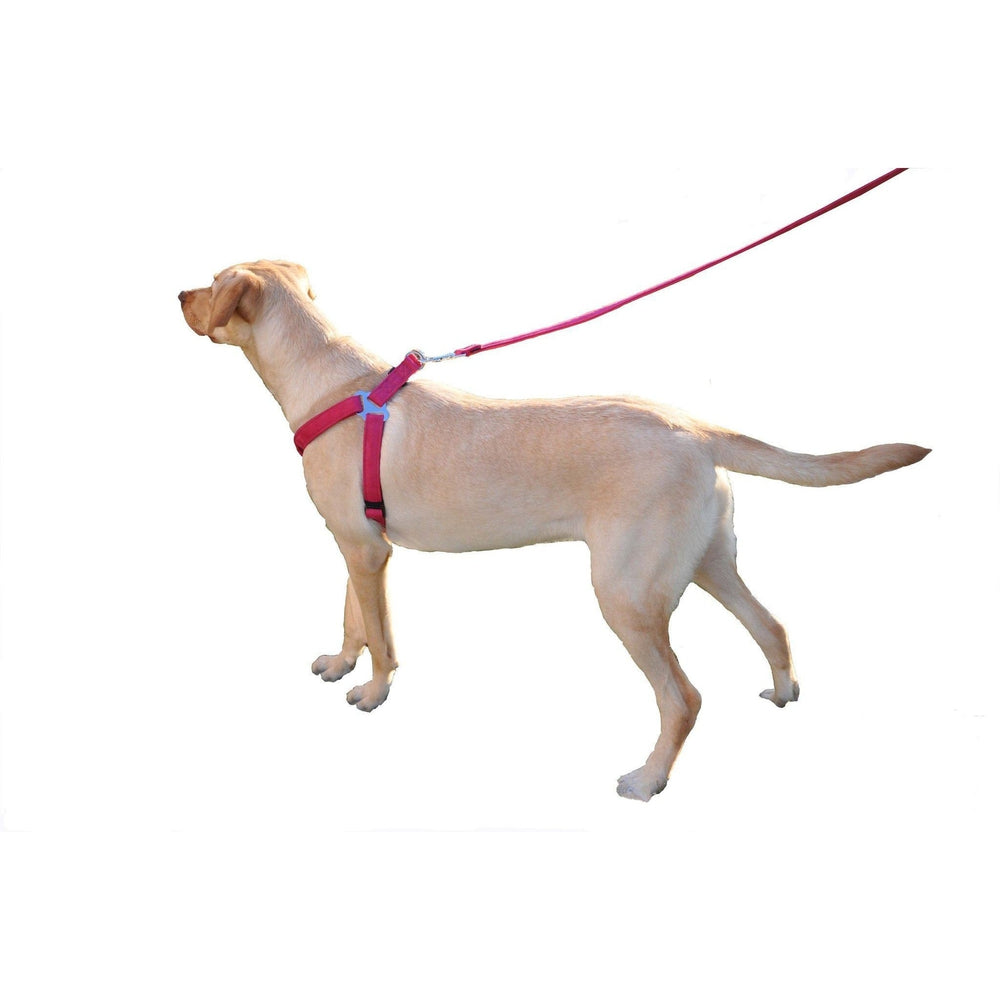 Dogline Comfort Microfiber Flat Step-In Dog Harness