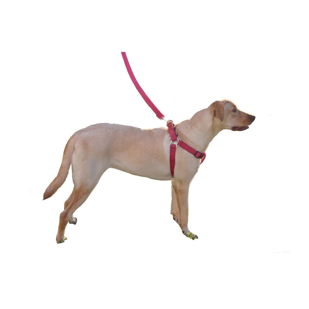 Dogline Comfort Microfiber Flat Step-In Dog Harness