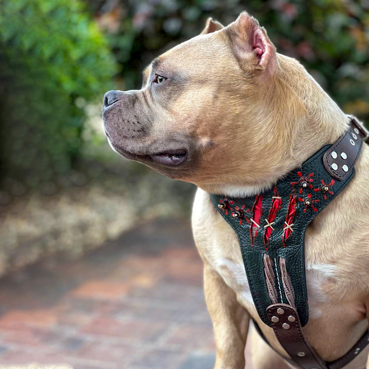 Bestia Haunted Limited Edition Leather Dog Harness