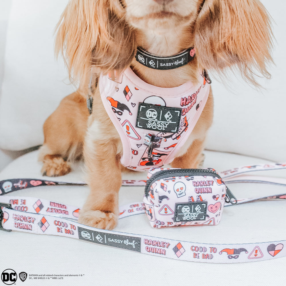 Dog Adjustable Harness - Harley Quinn™