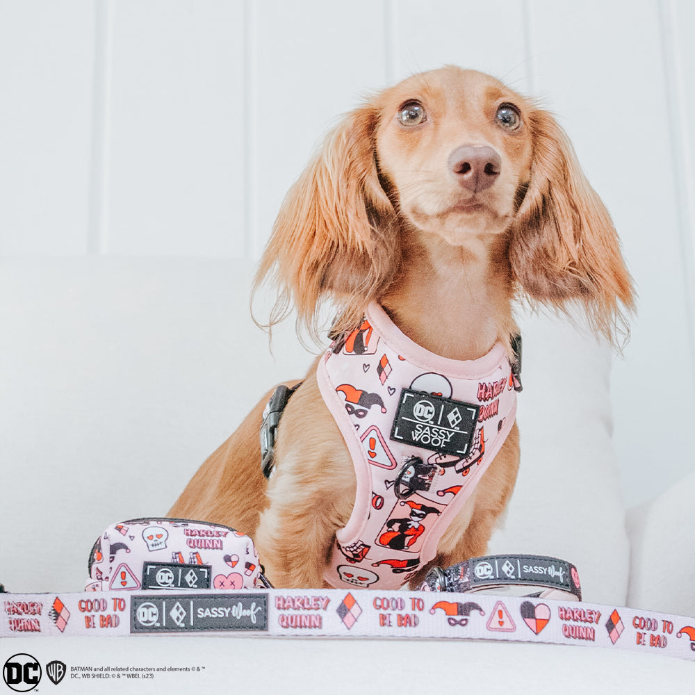 Dog Adjustable Harness - Harley Quinn™
