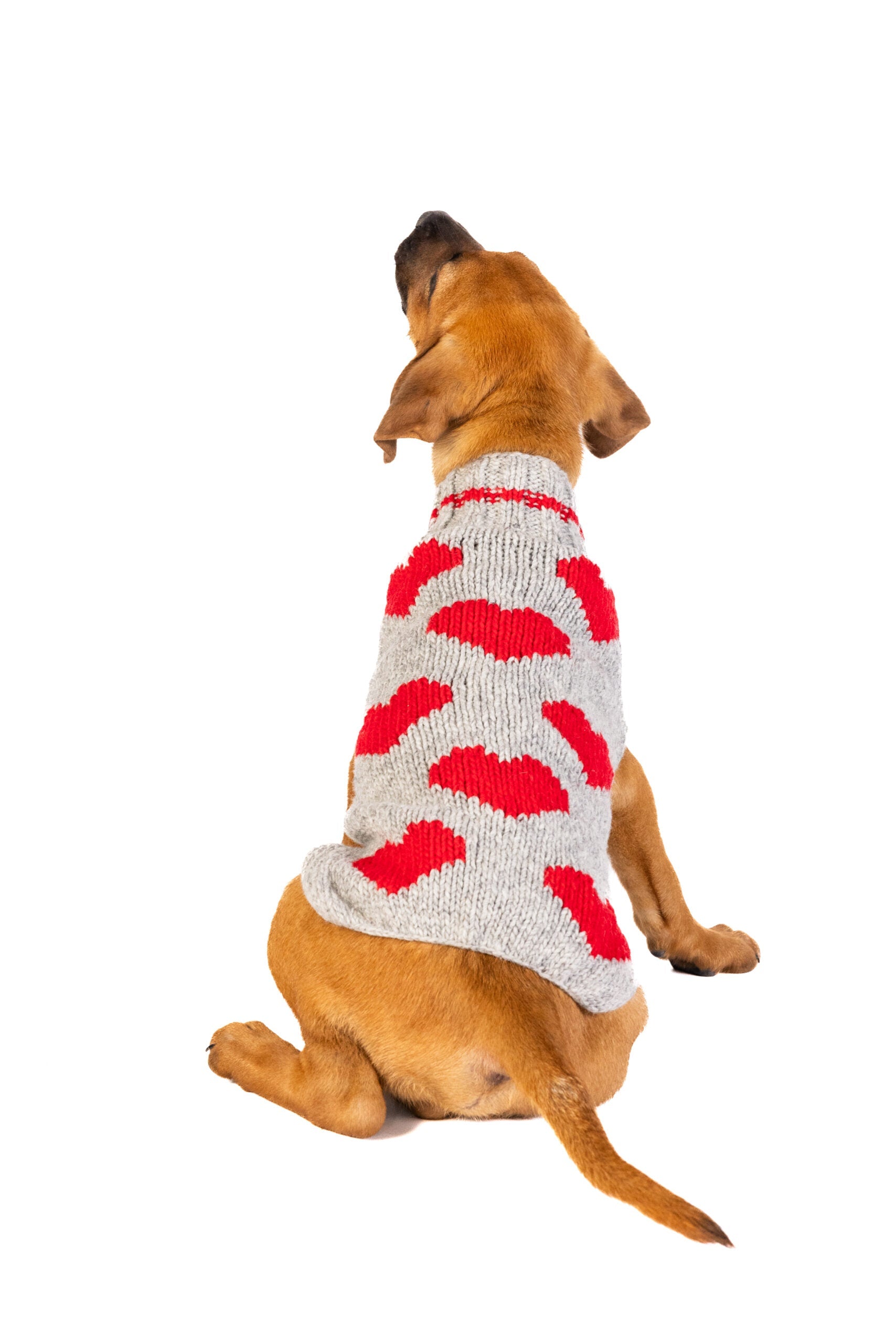 Red Hearts Dog Sweater