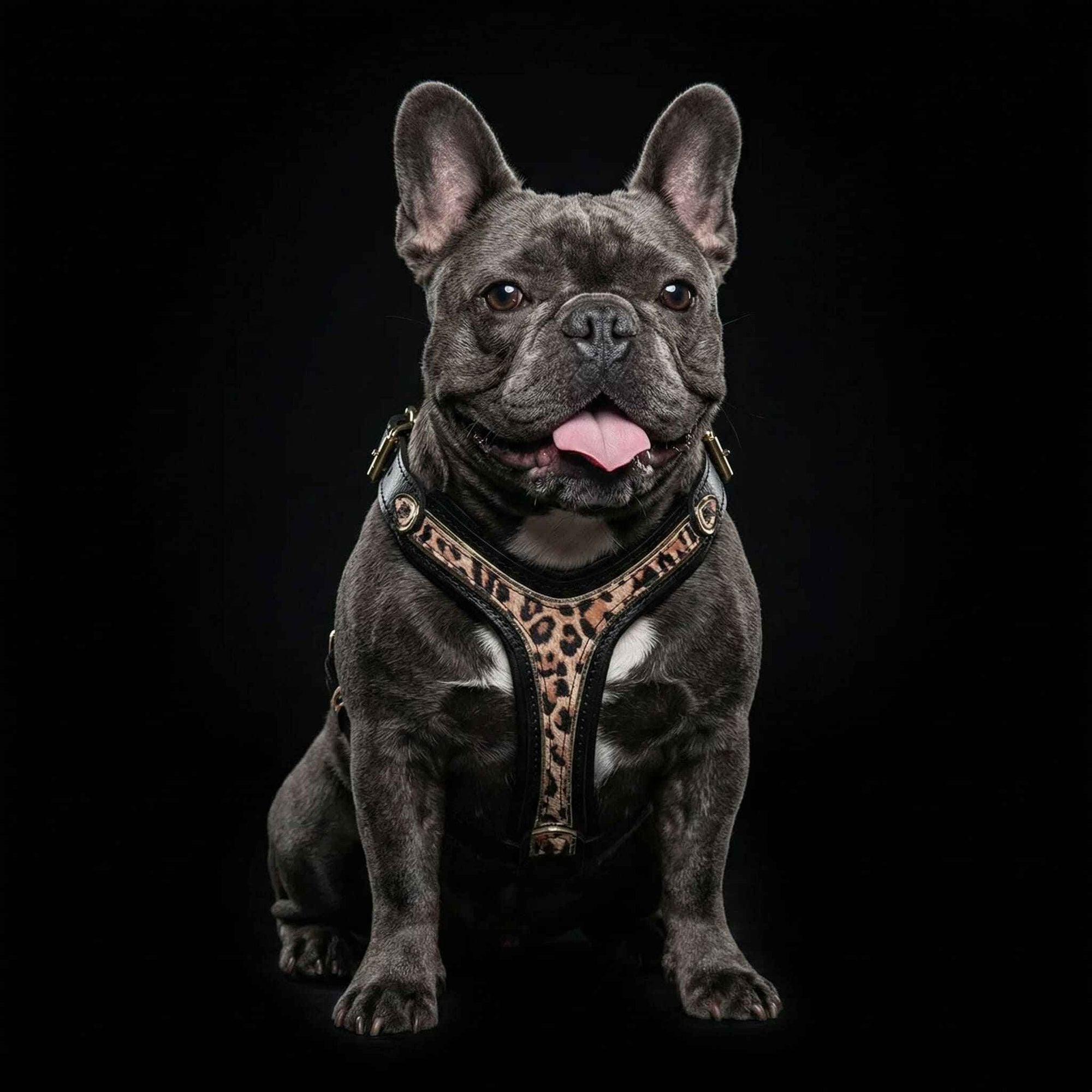 Bestia Leopard Leather Small to Medium Dog Harness
